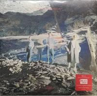 Виниловая пластинка Echo & The Bunnymen / Silver (1LP)