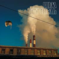 Виниловая пластинка НОМ / Оттепель (LP)