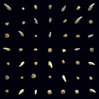 Виниловая пластинка Clipping / Visions Of Bodies Being Burne