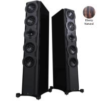 Напольная акустика Perlisten Audio S7t Ebony Natural