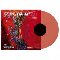 Виниловая пластинка Various Artists / Gods Of Metal Vol. 1 (Coloured Vinyl)(LP)