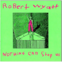 Виниловая пластинка Robert Wyatt / Nothing Can Stop Us (1LP)