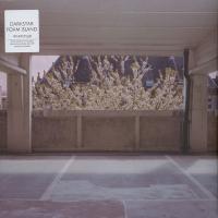 Виниловая пластинка Darkstar / Foam Island (LP)