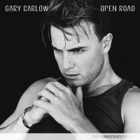 Виниловая пластинка Gary Barlow / Open Road (21st Anniversary Edition)(LP)