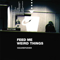 Виниловая пластинка Squarepusher / Feed Me Weird Things (3LP)