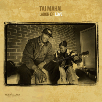 Виниловая пластинка Taj Mahal / Labor Of Love (2LP)