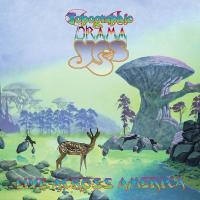 Компакт-диск Yes / Topographic Drama - Live Across America (2CD)