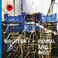 Виниловая пластинка Brutter / Reveal And Rise (1LP)