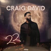 Виниловая пластинка David Craig / 22 (1LP)