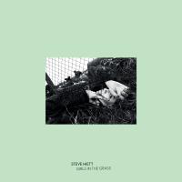 Виниловая пластинка Steve Hiett / Girls in the grass (1LP)