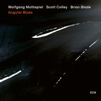 Компакт-диск Wolfgang Muthspiel, Scott Colley, Brian Blade / Angular Blues (CD)