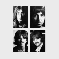 Виниловая пластинка The Beatles / White Album And Esher Demos (4LP)