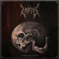 Виниловая пластинка HYEMS / ANATOMIE DES SCHEITERNS (CLEAR / BLACK SPLATTER VINYL) (1LP)