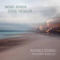 Виниловая пластинка JENSEN INGRID & STEVE TRESLER / INVISIBLE SOUNDS: FOR KENNY WHEELER (2LP)