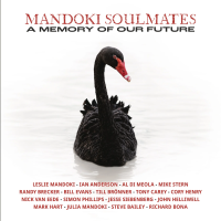 Виниловая пластинка Mandoki Soulmates / A Memory Of Our Future (2LP)