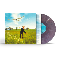 Виниловая пластинка James Blunt / Who We Used To Be (Recycled Vinyl) (1LP)