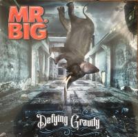 Виниловая пластинка MR BIG / DEFYING GRAVITY (1LP)