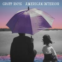 Виниловая пластинка Gruff Rhys / American Interior (LP+CD)