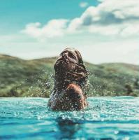 Виниловая пластинка JULIEN DORE / 7-PORTO-VECCHIO (1LP)