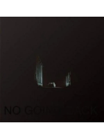 Виниловая пластинка Matt Karmil / No going back (1LP)