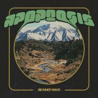 Виниловая пластинка Inner Wave / Apoptosis (1LP)