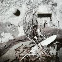Виниловая пластинка David Sylvian / Secrets Of The Beehive (coloured) (1LP)