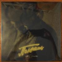 Виниловая пластинка  ***аЧЕВ ГАРИК / Помнишь (LP)