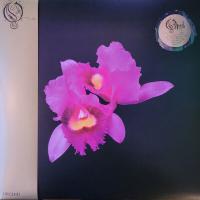 Виниловая пластинка Opeth / Orchid (Half Speed) (Gold, Half Speed Mastering, Limited) (2LP)