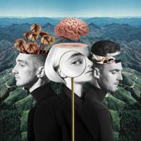 Компакт-диск Clean Bandit / What Is Love? (CD)