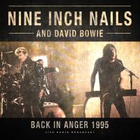 Виниловая пластинка NINE INCH NAILS & DAVID BOWIE / BEST OF BACK IN ANGER 1995 (1LP)