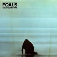 Компакт-диск Foals / What Went Down (1CD)