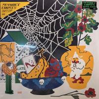Виниловая пластинка Parquet Courts / Sympathy for life (1LP)