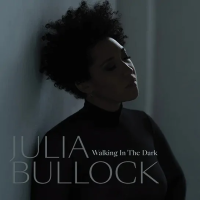 Виниловая пластинка BULLOCK JULIA / WALKING IN THE DARK (1LP)