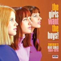 Виниловая пластинка VARIOUS ARTISTS / THE GIRLS WANT THE BOYS! SWEDEN'S BEAT GIRLS 1966-1970 (2LP)