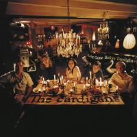 Виниловая пластинка The Cardigans / Long Gone Before Daylight (2LP)