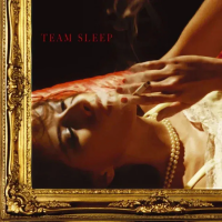 Виниловая пластинка Team Sleep / Team Sleep (2LP)