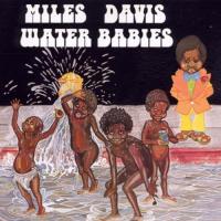 Компакт-диск Miles Davis / Water Babies (1CD)