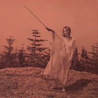 Виниловая пластинка Unknown Mortal Orchestra / II (2LP)