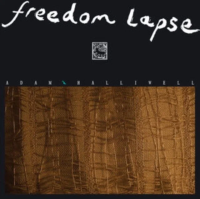 Виниловая пластинка Adam Halliwell / Freedom Lapse (1LP)