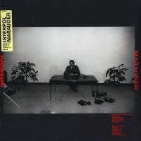 Виниловая пластинка Interpol / Marauder (LP)