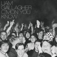 Виниловая пластинка Liam Gallagher / C’MON YOU KNOW (LP)