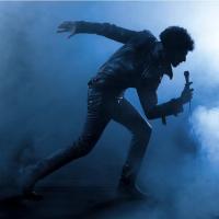 Виниловая пластинка Amos / Imperator Of Pop (2LP)