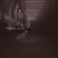 Виниловая пластинка Dub Taylor / Caves & cages (2LP)