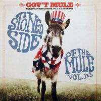 Виниловая пластинка Gov't Mule / STONED SIDE OF THE MULE (2LP)