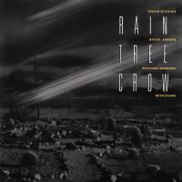 Виниловая пластинка Rain Tree Crow / Rain Tree Crow (LP)