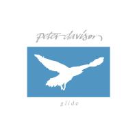 Виниловая пластинка DAVISON PETER / GLIDE (1LP)
