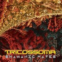 Компакт-диск Tricossoma / Shamanic Waves (1CD)